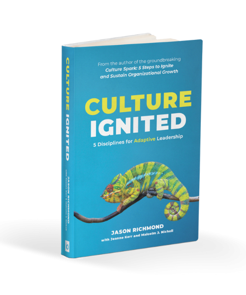 culture ignited book