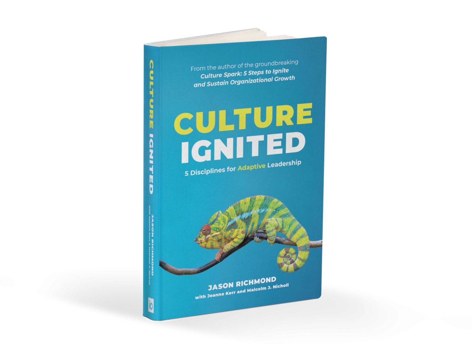 culture ignited book